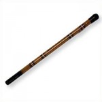 Dragon Wind Staff